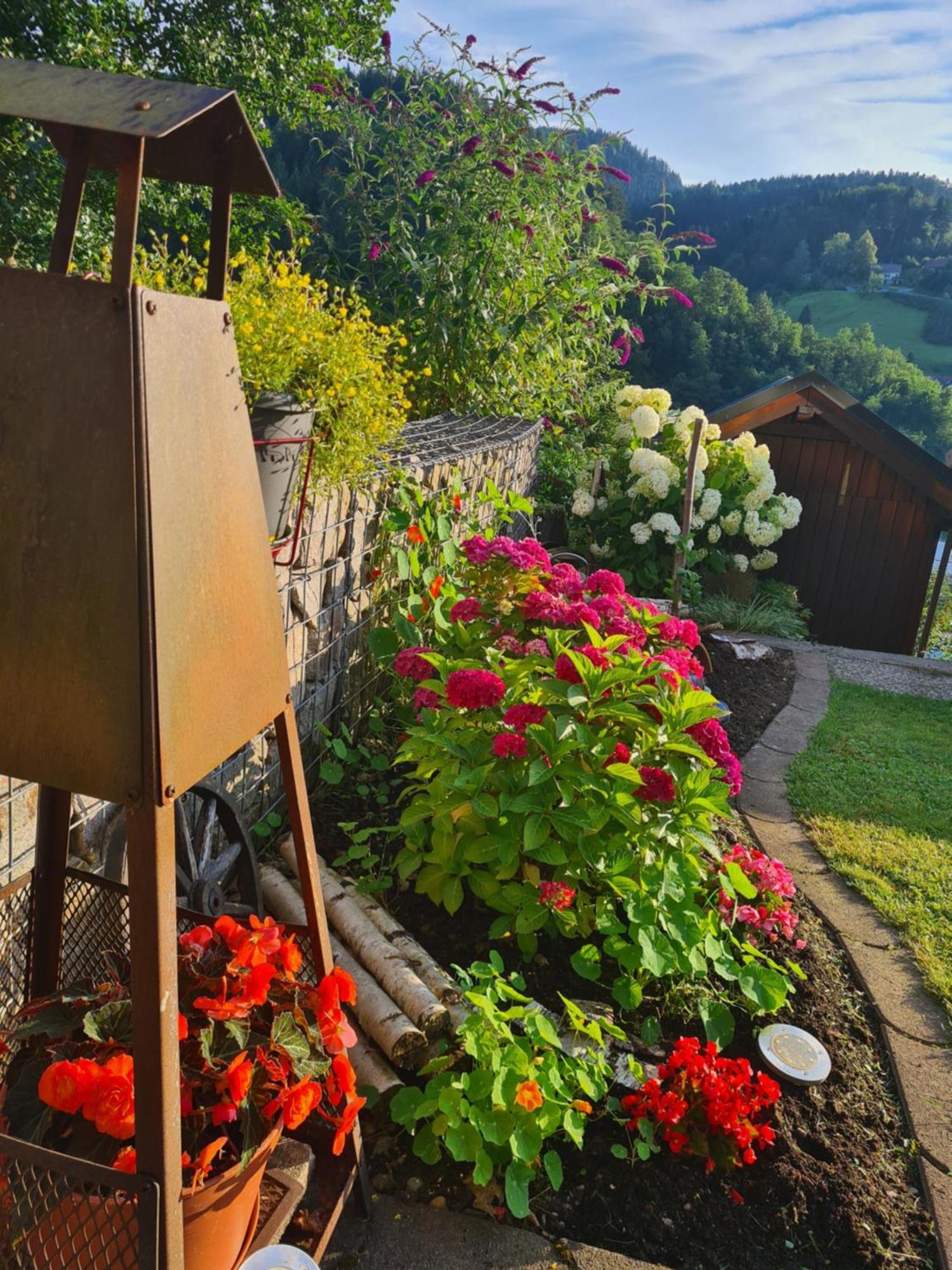 Ferienwohnung Schwarzwaldsteig Bad Peterstal-Griesbach Exterior foto
